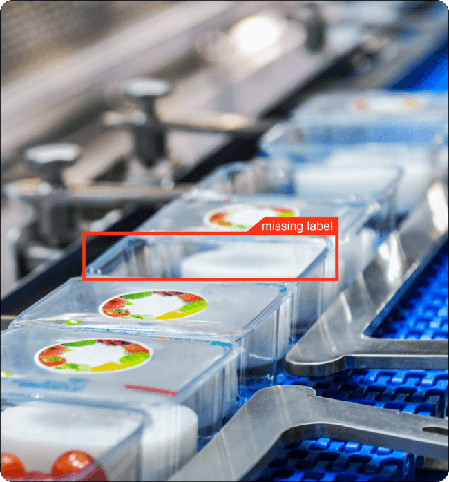 Navigating Label Defect Detection Complexities