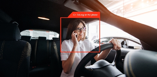 Driver Distraction Detection