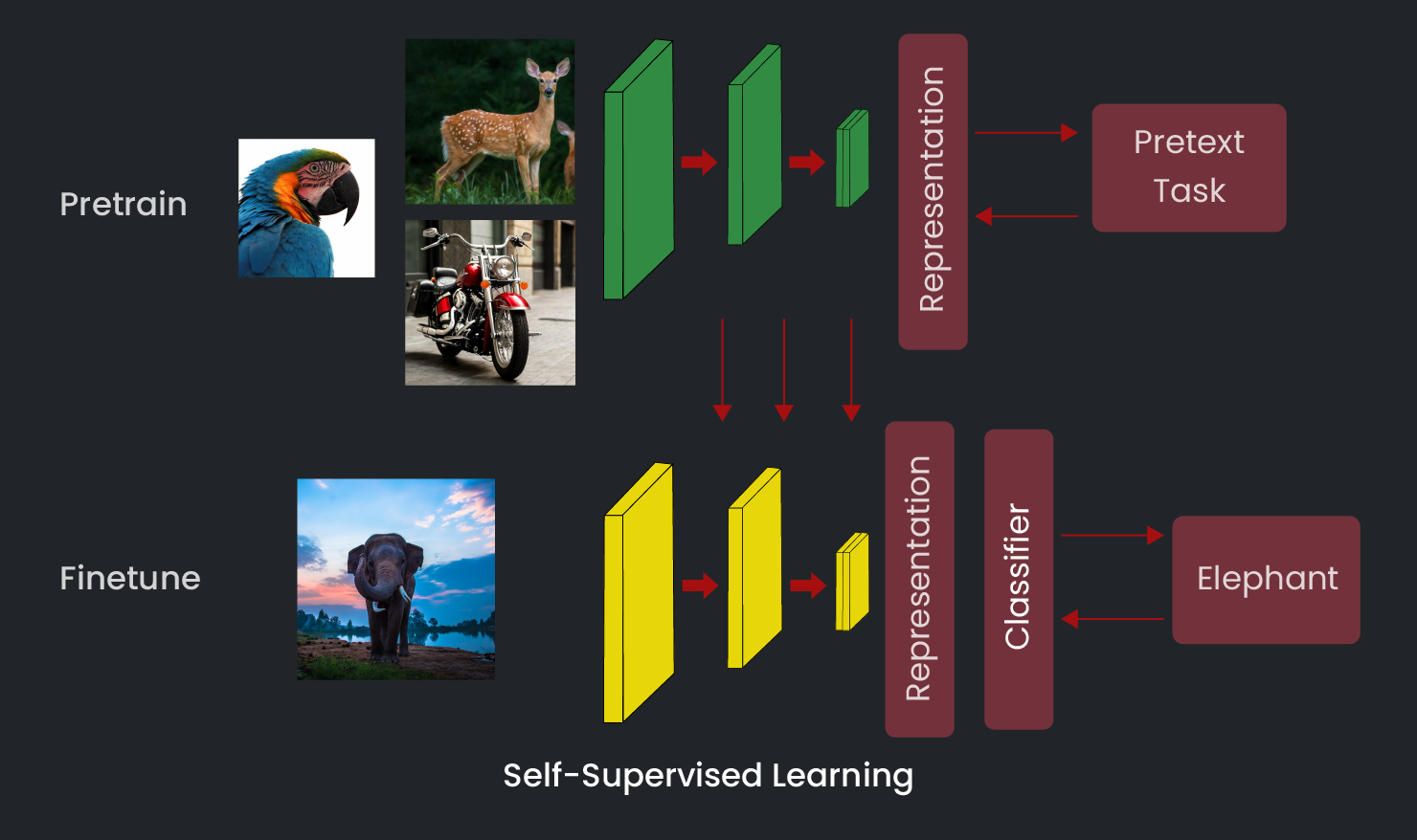 Self-Supervised Learning