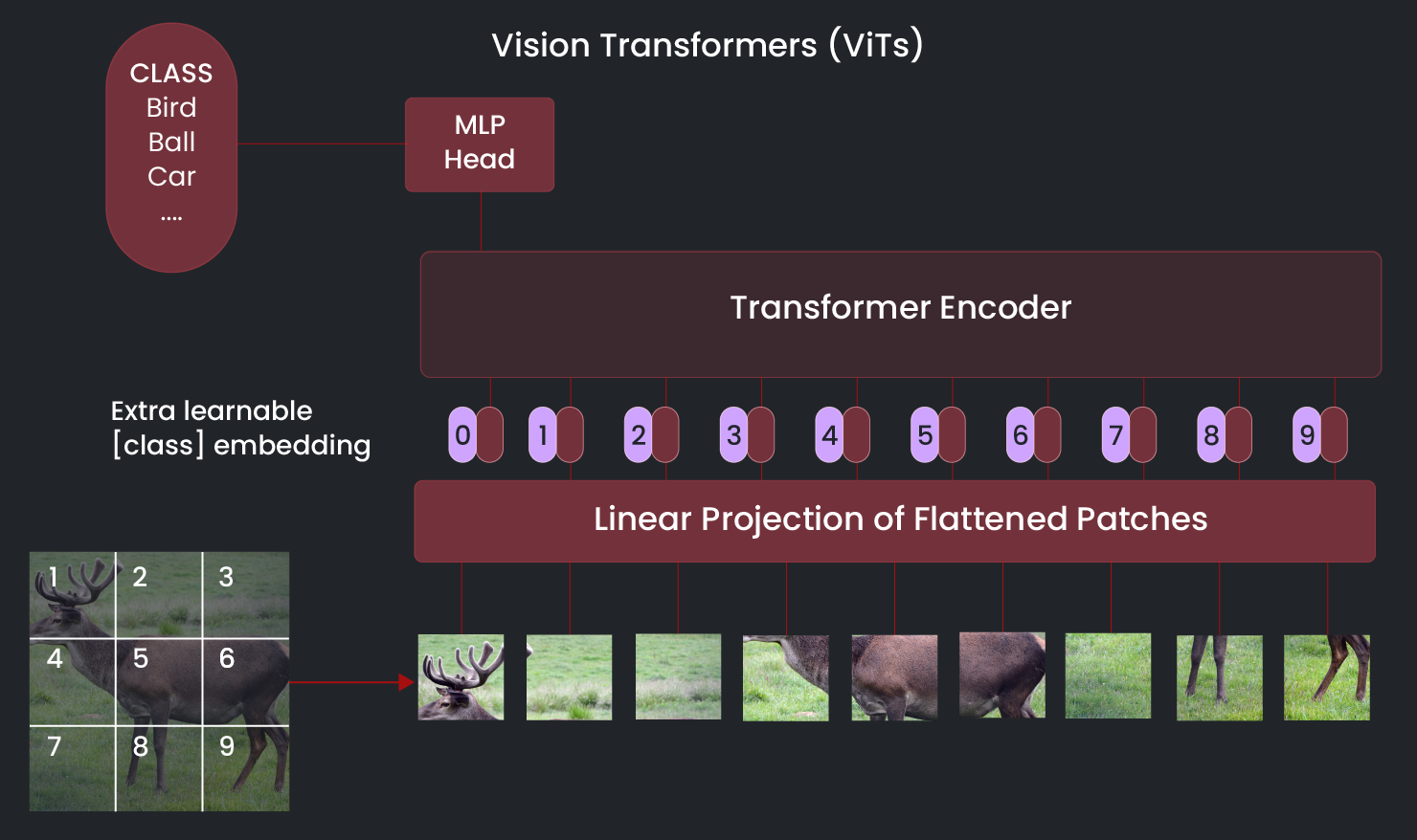 Vision Transformers (ViTs)