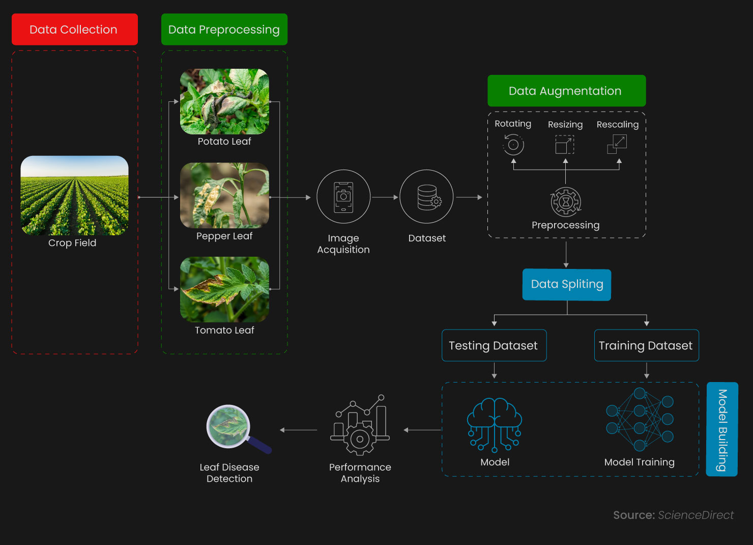 The Process Behind AI-powered Crop Disease Detection