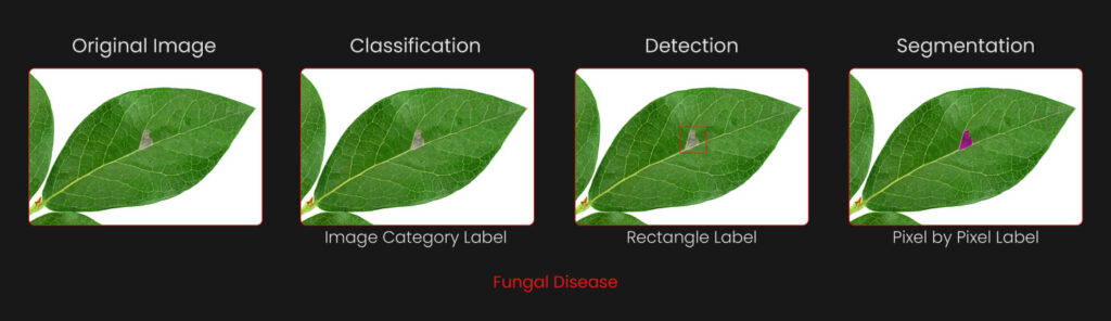 Plant Disease Detection Using Computer Vision in Agriculture ...