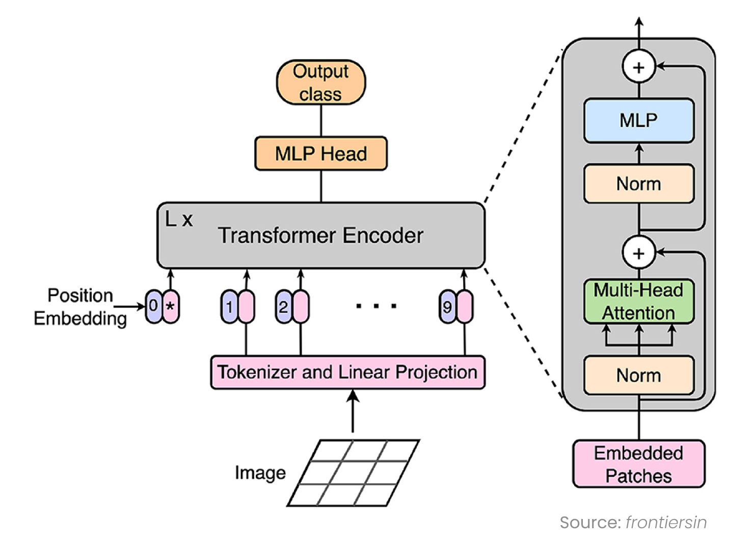 Fig Attention Mechanism in ViT