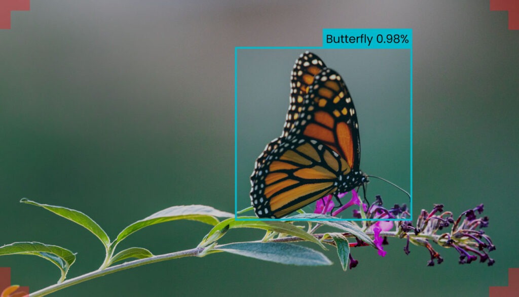 Object Detection with RF DETR | ImageVision.ai