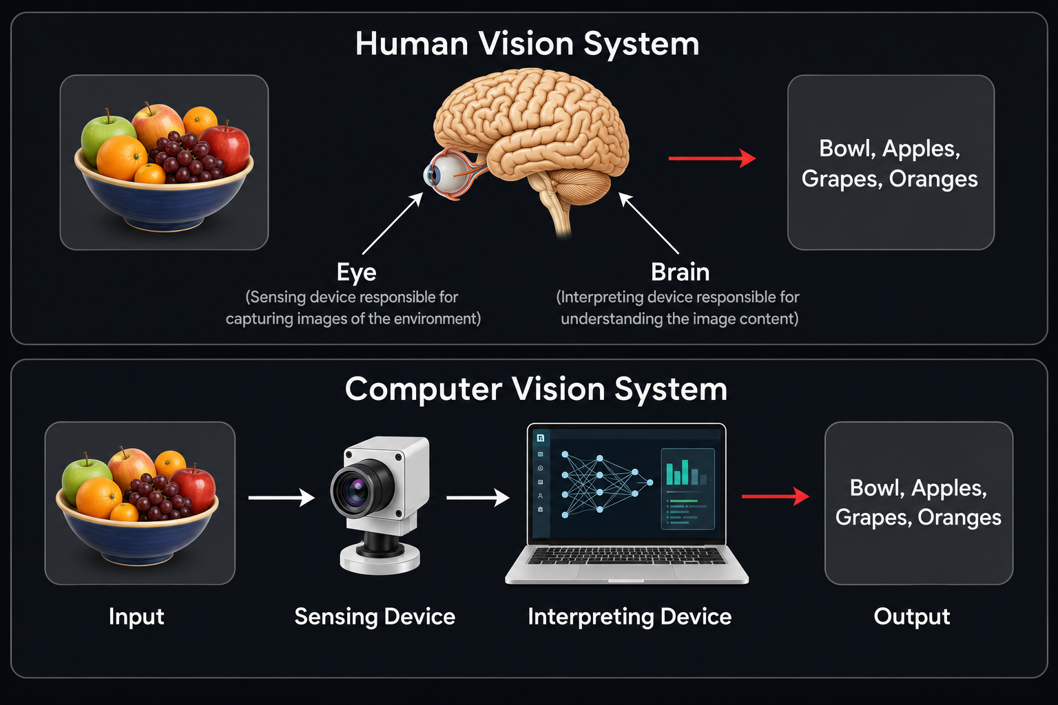 Exploring the Process of How Computer Vision Works